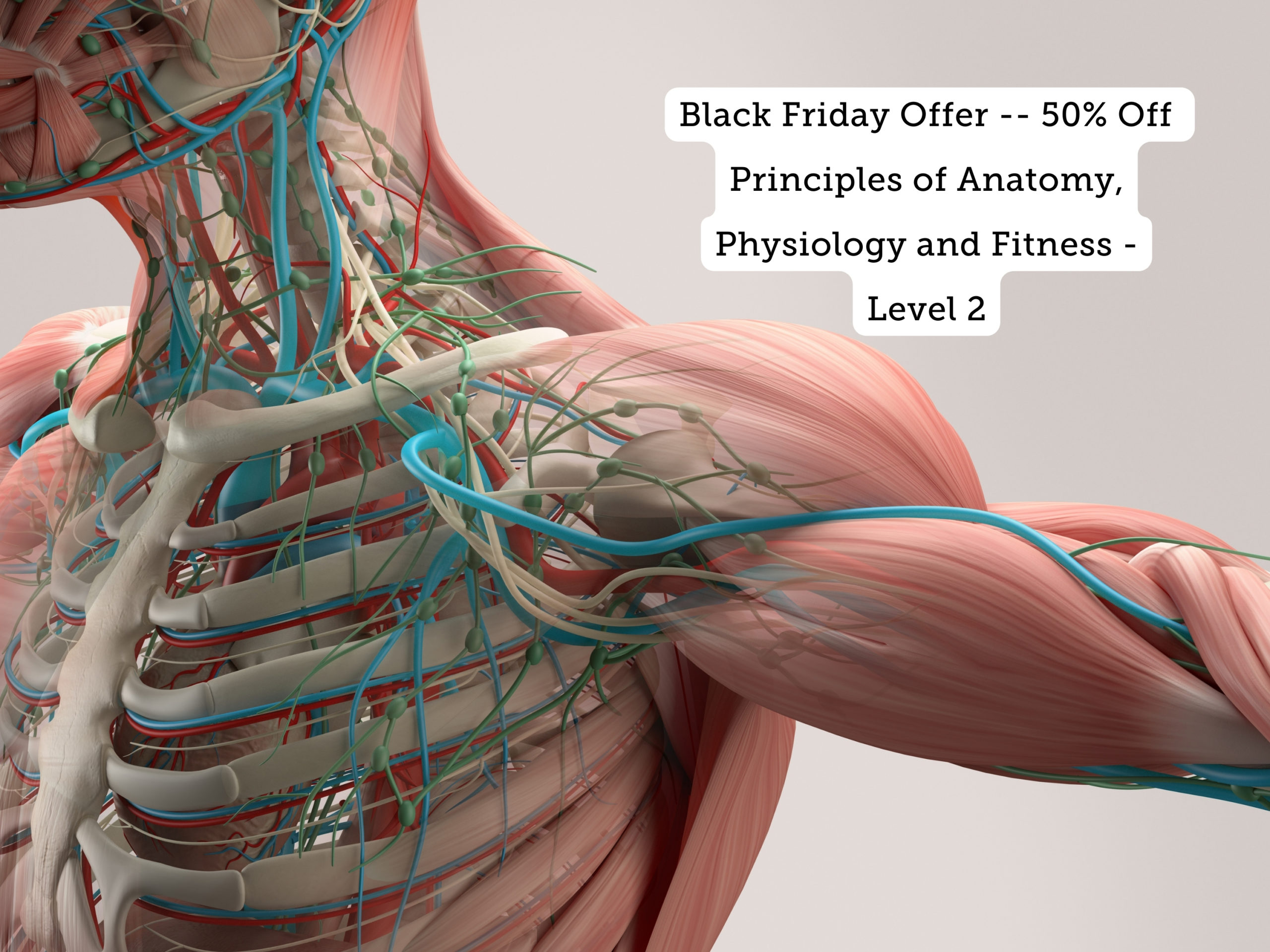 The Importance of Anatomy in Pilates and Fitness Education